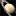 NASA Pic of the Day logo