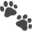 Cat Bounce logo