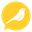Catch a Bird logo