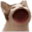 Popcat logo