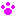 Random Kitten Generator logo