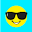 Sunny Skyz logo