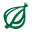 The Onion logo