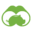 Visual Capitalist logo